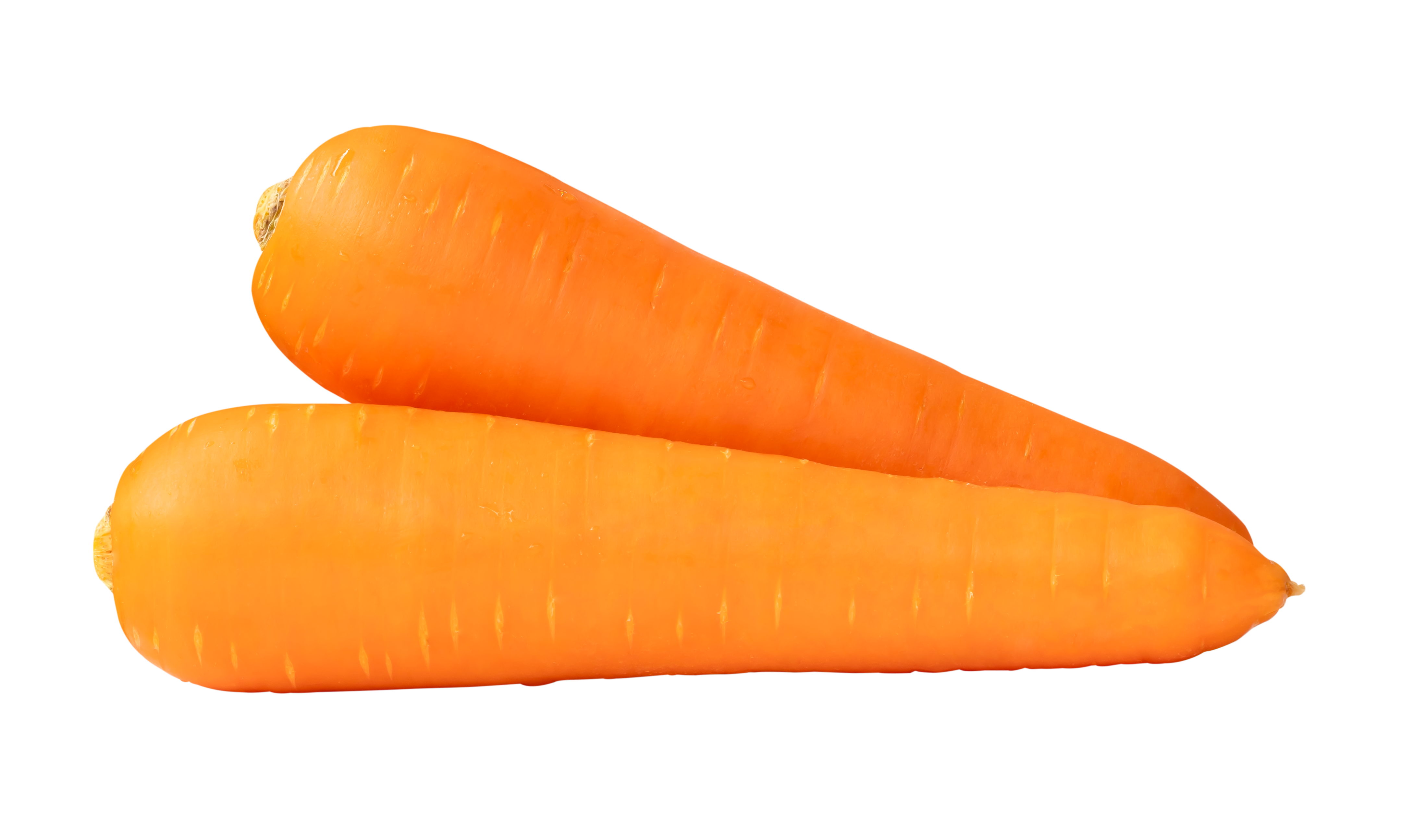 Fresh Carrot 250g