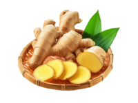 Fresh Ginger from China