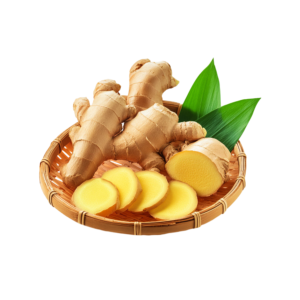 Fresh Ginger from China