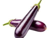 Fresh Long Brinjal from Malaysia - Eggplant