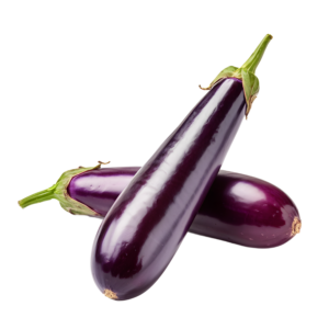 Fresh Long Brinjal from Malaysia - Eggplant
