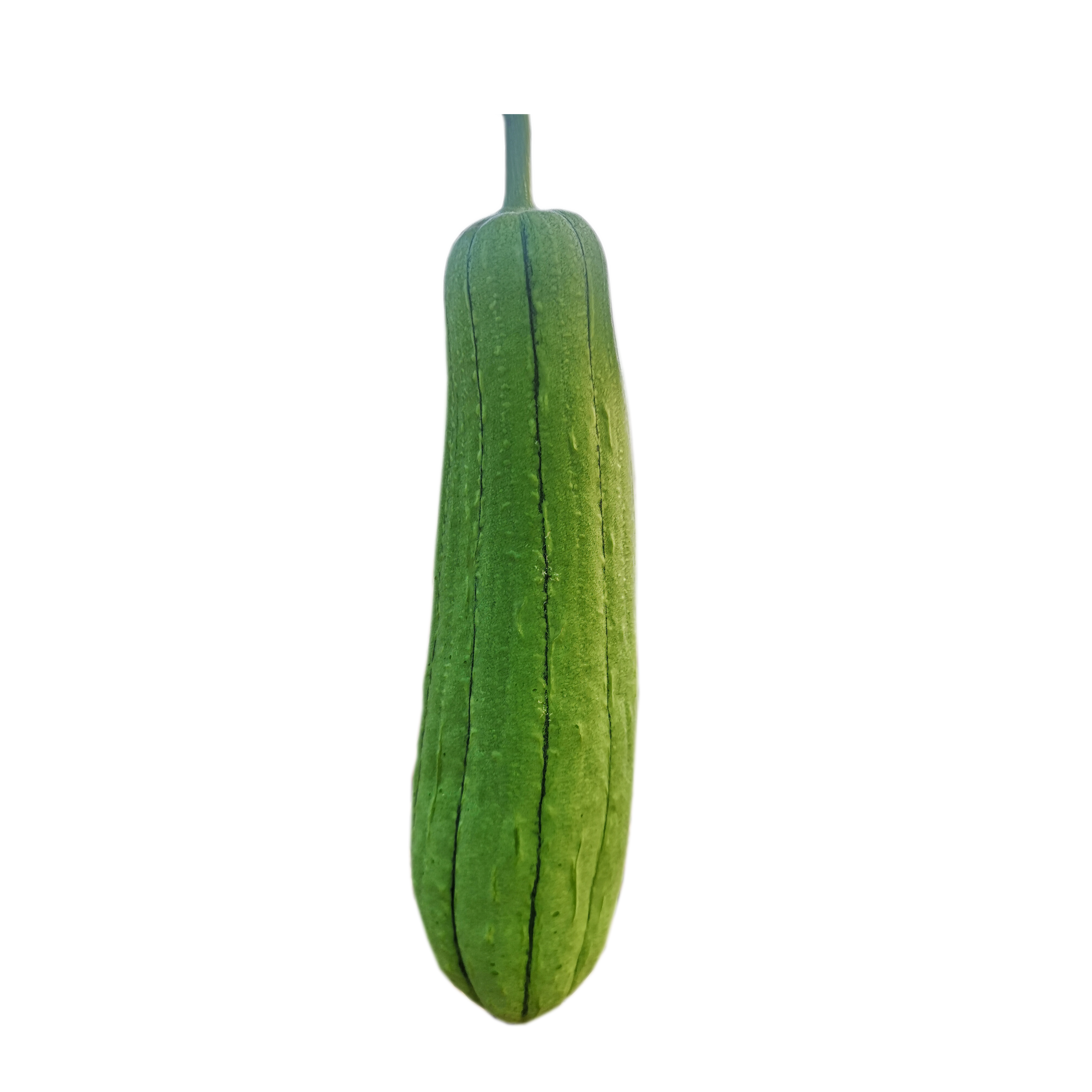 Fresh Ridge Gourd (Luffa) 250g