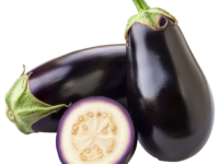Pearl Brinjal from Malaysia