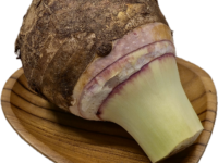 Taro or Yam from Thailand