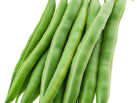 French Beans from Indonesia