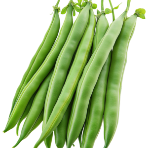 French Beans from Malaysia