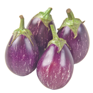 Indian Brinjal from India - Eggplant