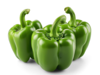 Green Capsicum from Malaysia