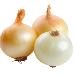 Peeled Yellow Onion packed in Vacuum Bags