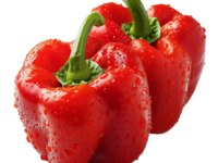 Red Capsicum from Malaysia