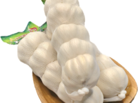 Pure White Roll Garlic from China