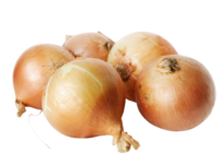 Yellow Onion from China